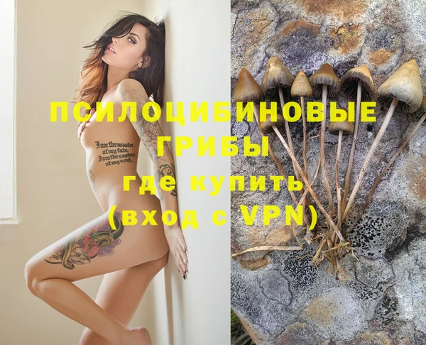 таблы Богородицк