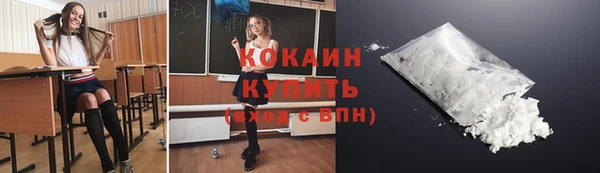 дмт Богородск