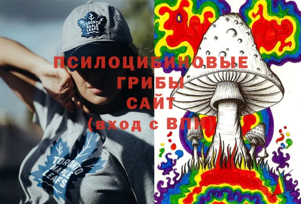 таблы Богородицк