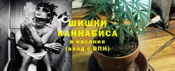 таблы Богородицк