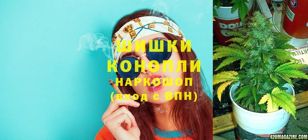 соль ск Богданович