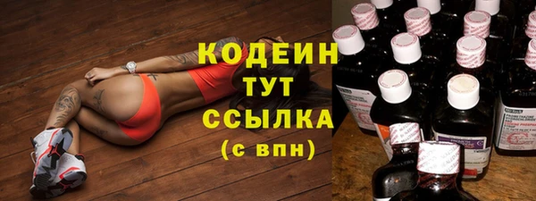 таблы Богородицк