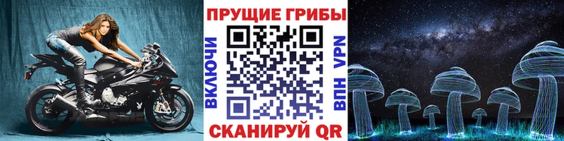 дарнет шоп  Михайловск  Псилоцибиновые грибы Cubensis 