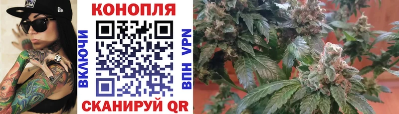 Бошки Шишки тримм  мега зеркало  Михайловск 